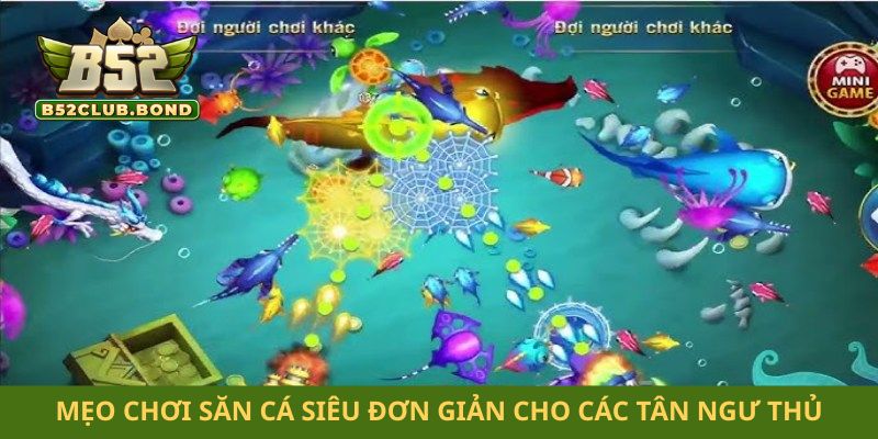 Mẹo chơi săn cá siêu đơn giản cho các tân ngư thủ